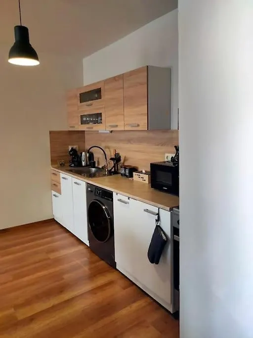 Specious Modern Apartment Sofía