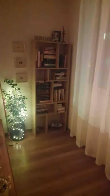 Specious Modern Apartment Sofía