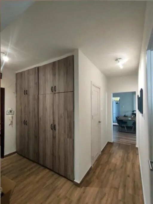 Specious Modern Apartment Sofía
