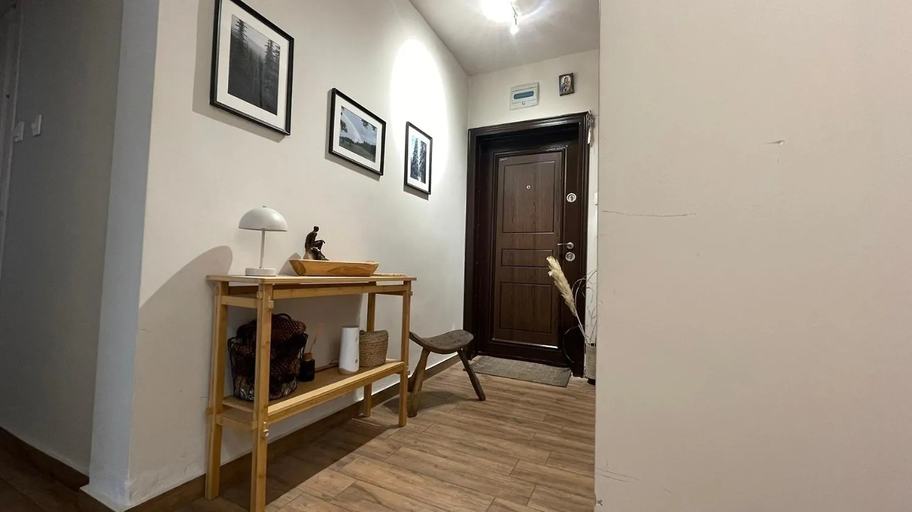 Specious Modern Apartment Sofía